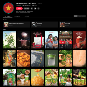 tiktok-katinat-social-seo