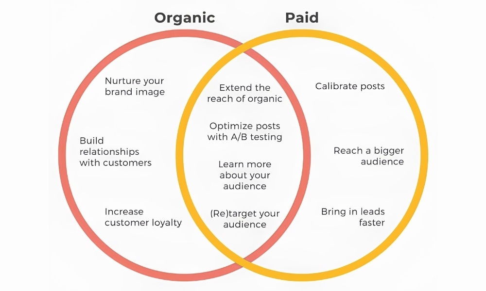 paid-media-khuech-dai-organic-content-facebook-reach