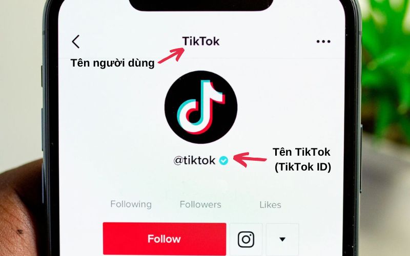 Vị trí hiển thị của tên người dùng và tên TikTok
