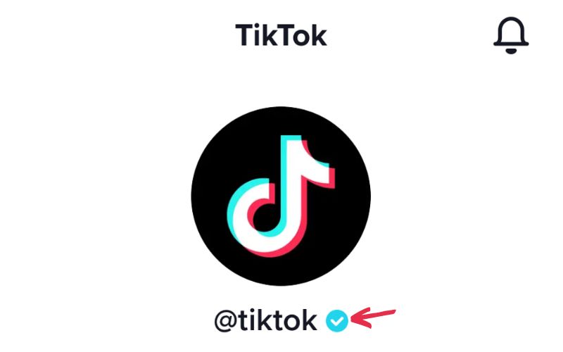Thay đổi tên TikTok có thể làm mất dấu xác minh tài khoản