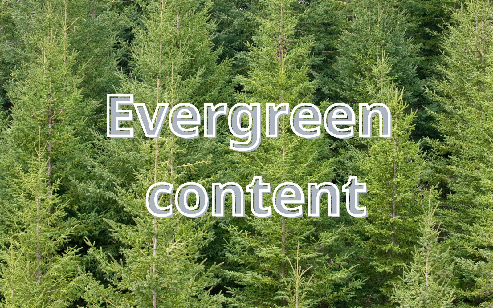 Bật mí 6 mẹo viết evergreen content ấn tượng và hiệu quả