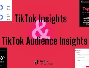 TikTok Insights